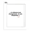 Affiche Loic Prigent Je Deteste Tout - 30 X 40 Cm-Image Republic Online