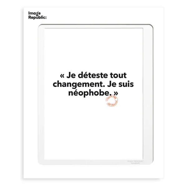 Affiche Loic Prigent Je Deteste Tout - 30 X 40 Cm-Image Republic Online