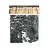Allumettes Enchanted Forest-Archivist Gallery