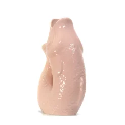 Carafe / Vase Monsieur Carafon Poisson - Rose-Sélectionné par Fleux Sale