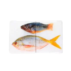 Décoration Murale Poisson Perroquet Et Fusilier Sur Fond Blanc - 40 Cm X 24 Cm-Stigerwoods Best