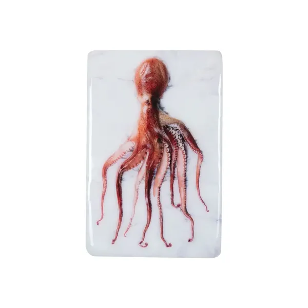 Décoration Murale Poulpe Portugais Rouge Sur Fond Blanc - 20 X 29 Cm-Stigerwoods Best