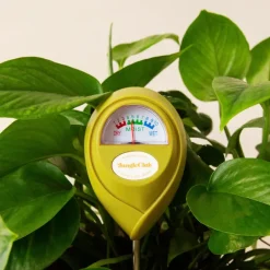 Humidimetre-Jungle Club Outlet