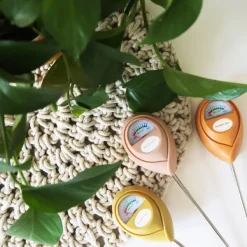 Humidimetre-Jungle Club Outlet