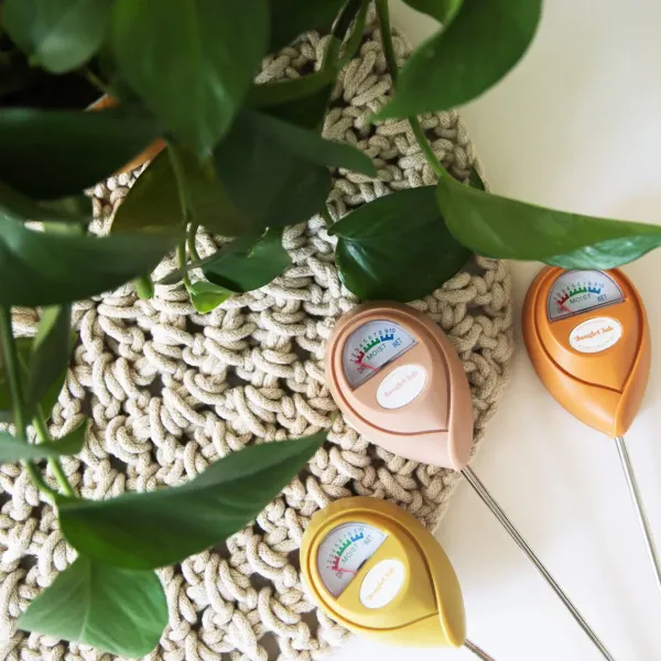 Humidimetre-Jungle Club Outlet