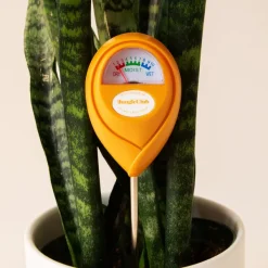 Humidimetre-Jungle Club Outlet