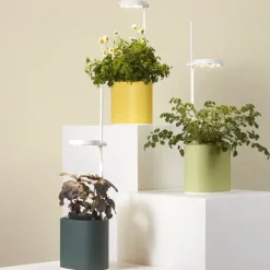 Jardin D'Interieur Connecte Nano Garden - Vert Foret-Prêt à pousser Outlet