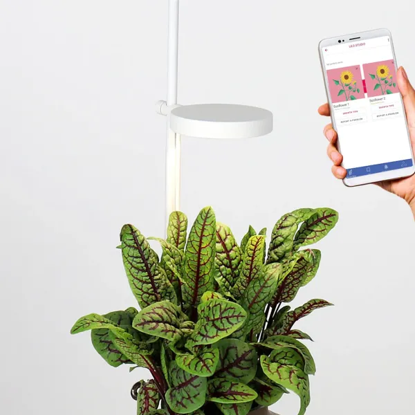 Jardin D'Interieur Connecte Nano Garden - Vert Foret-Prêt à pousser Outlet