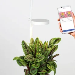 Jardin D'Interieur Connecte Nano Garden - Terracotta-Prêt à pousser Online