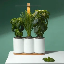 Jardin D'Interieur Lilo-Prêt à pousser Online