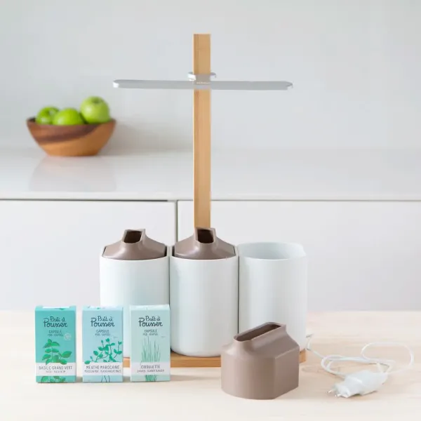 Jardin D'Interieur Lilo-Prêt à pousser Online