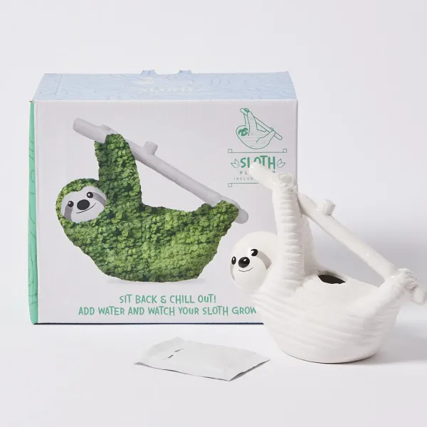 Pot / Jardiniere Chia - Paresseux-Sélectionné par Fleux Sale