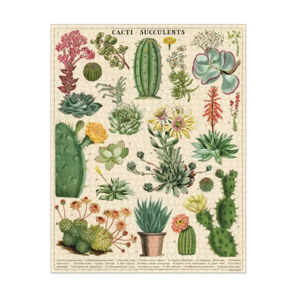 Puzzle Succulentes - 1000 Pieces-Sélectionné par Fleux Online