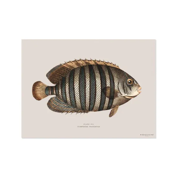 Set De Table Rectangle Poisson Avadi - 33 X 45 Cm-Pôdevache Hot