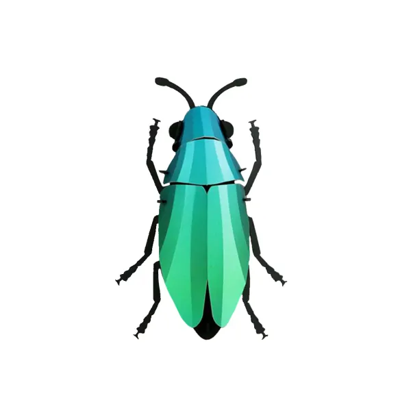 Trophee Origami Coleoptere Vert Cariben Metallique-Assembli Hot