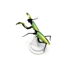 Trophee Origami Mante Religieuse - Vert Mango Metallique-Assembli Sale