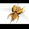Trophee Origami Scarabee Atlas Dore-Assembli